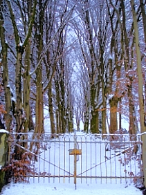 Tor zum ehemaligen Riedhof - Friedhof, B311